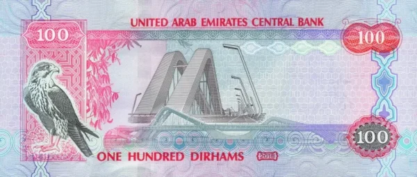 aed د.إ100