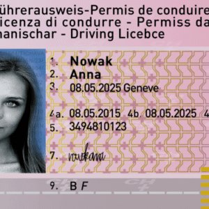 Buy Registered Or Fake Swiss Driving License